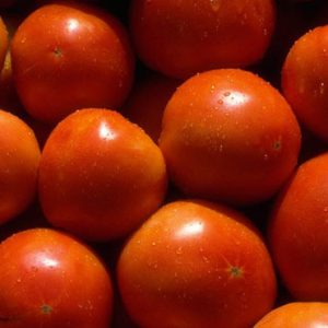 close up of several ripe tomatoes