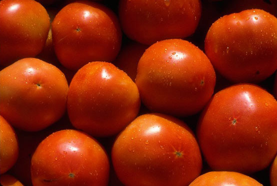 close up of several ripe tomatoes