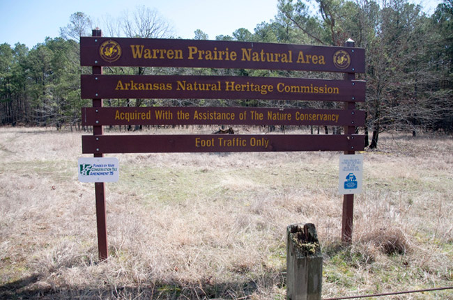 "Warren Prairie Natural Area Arkansas Natural Heritage Commission" in clearing