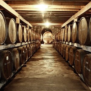 Rows of wine barrels in cellar with stone walls