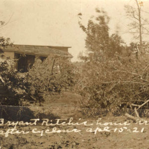 Buildings in state of near collapse with fallen trees in foreground