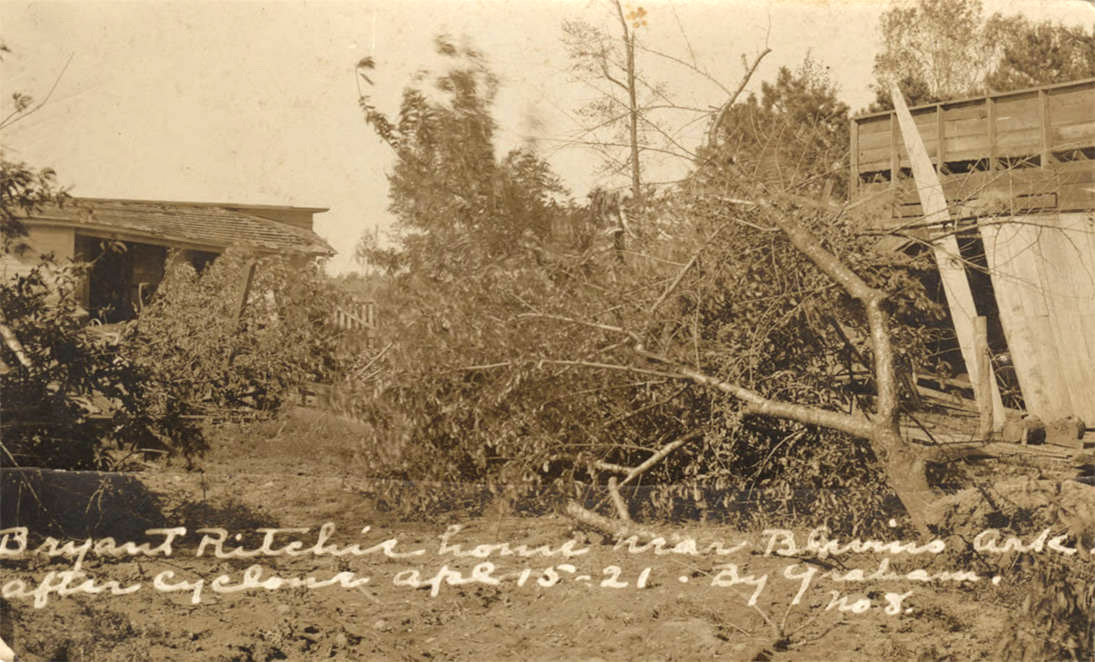 Buildings in state of near collapse with fallen trees in foreground