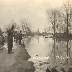 Men and dog standing on levee placing sandbags with houses and other buildings in the background