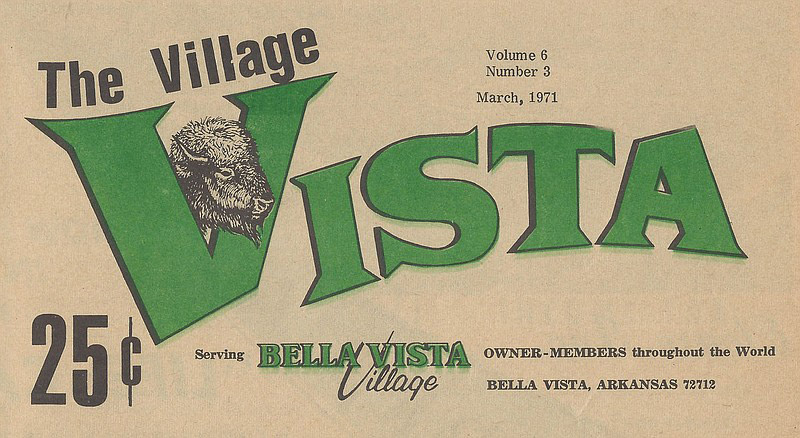 Logo of "The Village Vista" with buffalo head