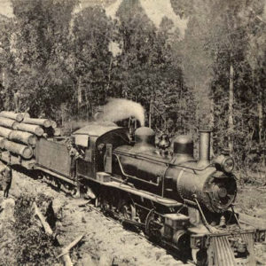 Steam engine pulling train cars loaded with logs through forested area