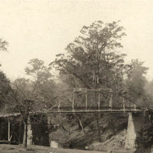 Bridge spanning river in woods