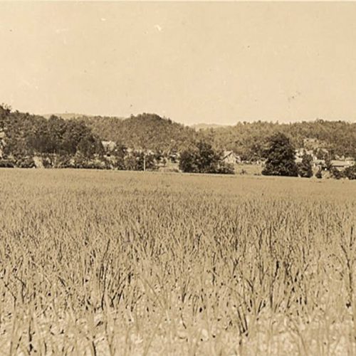 Norman (Montgomery County) - Encyclopedia of Arkansas