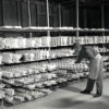 White man working at shelves filled with various types of pottery
