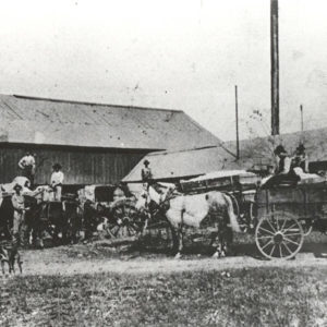 Men with horses and wagons loaded with cotton in front of large wooden building