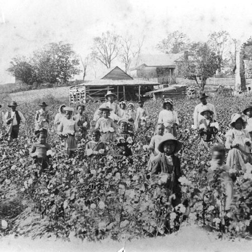 Cotton Industry Encyclopedia of Arkansas