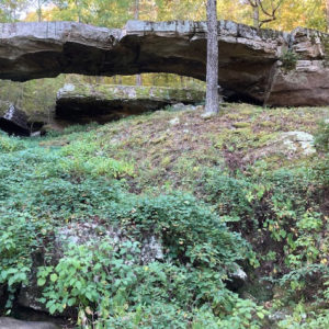 Natural rock bridge over small hollow