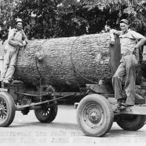 Two white men standing on trailer with large log