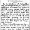 "A Youthful Murderer" newspaper clipping