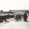 Group of people looking at cows in feed lot area