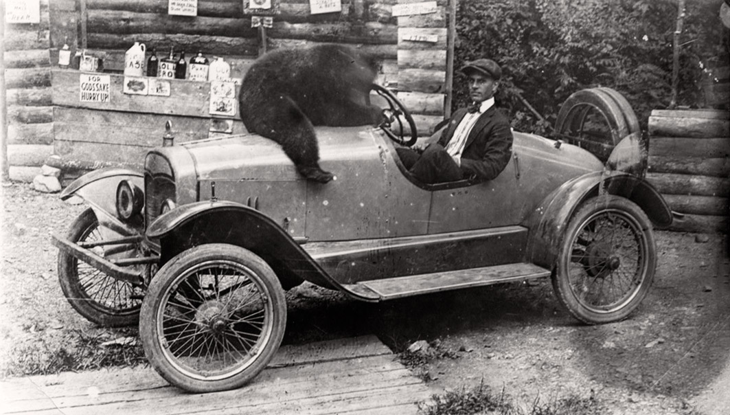 White man sitting in open car with black bear sitting on hood