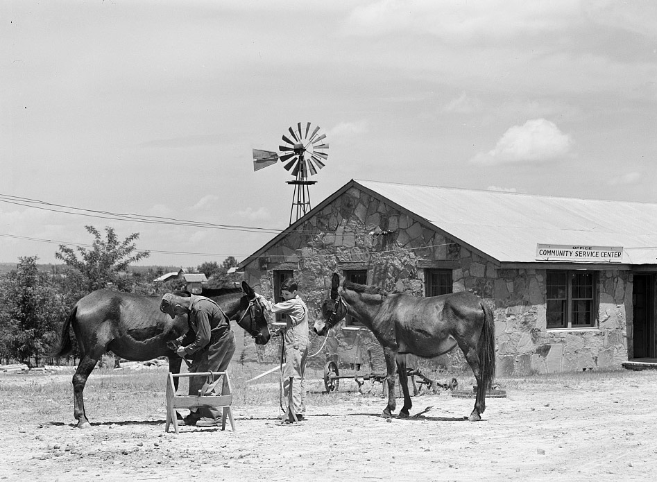 A man and a boy and two horses in front of stone building