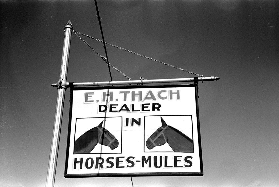 Sign advertising horses and mules showing the head of a horse and the head of a mule
