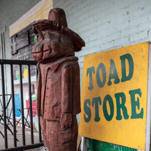 Wooden statue of a toad in front of a store