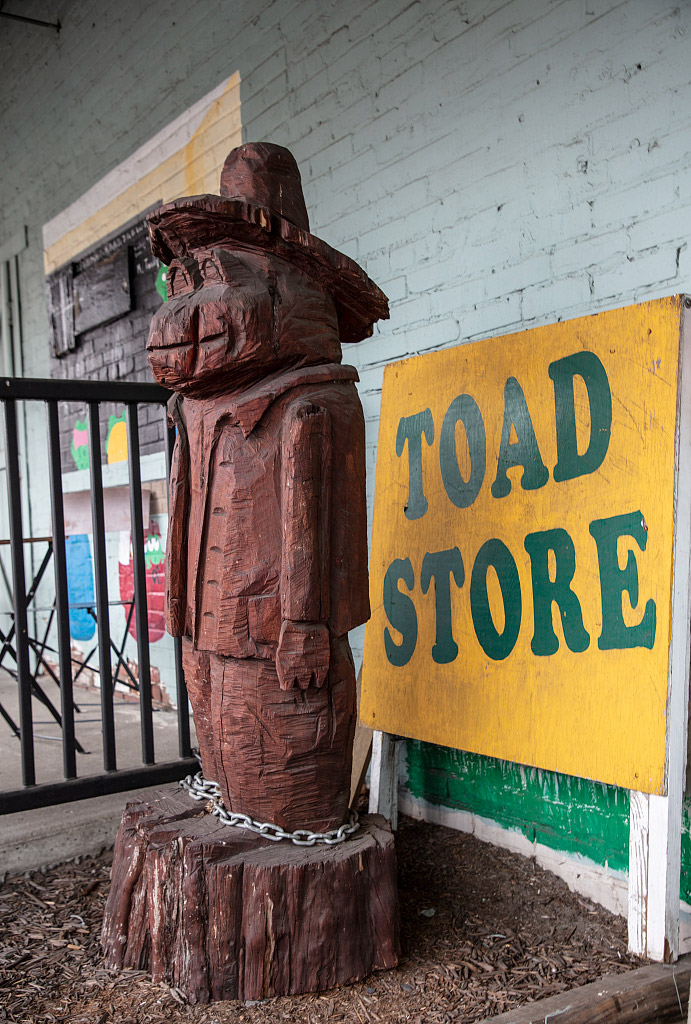 Wooden statue of a toad in front of a store