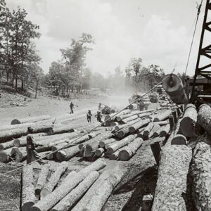 Men loading large logs onto train cars with trees in background