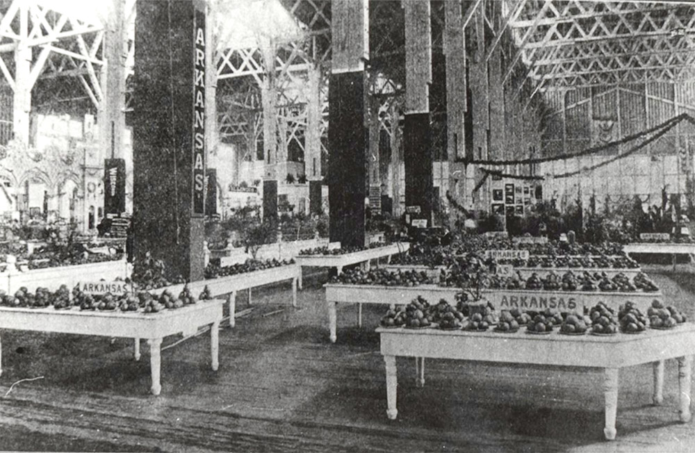Displays of fruits and agricultural products inside large hall