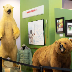 Display featuring a stuffed white bear on its hind legs and a stuffed brown bear on all fours