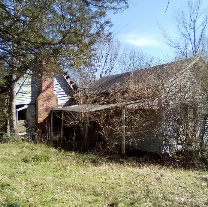 Dilapidated single story wooden buildings partially obscured by overgrowth