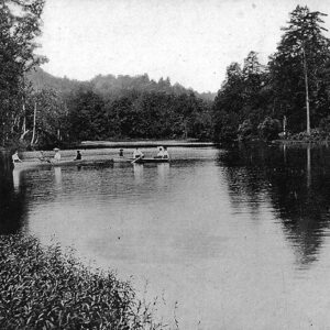 People canoing in lake lined with trees