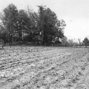 Large mound covered in trees beside plowed field