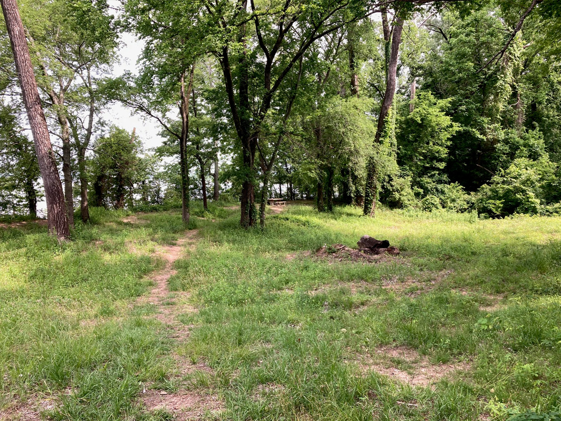 Green treed area with concrete picnic table in distance