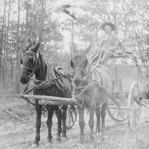 Man in suit and hat sitting on wagon drawn by two mules down dirt road with another man in background