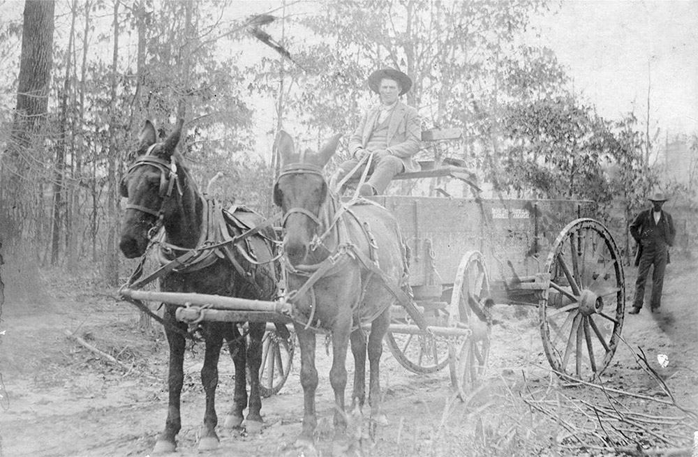 Man in suit and hat sitting on wagon drawn by two mules down dirt road with another man in background