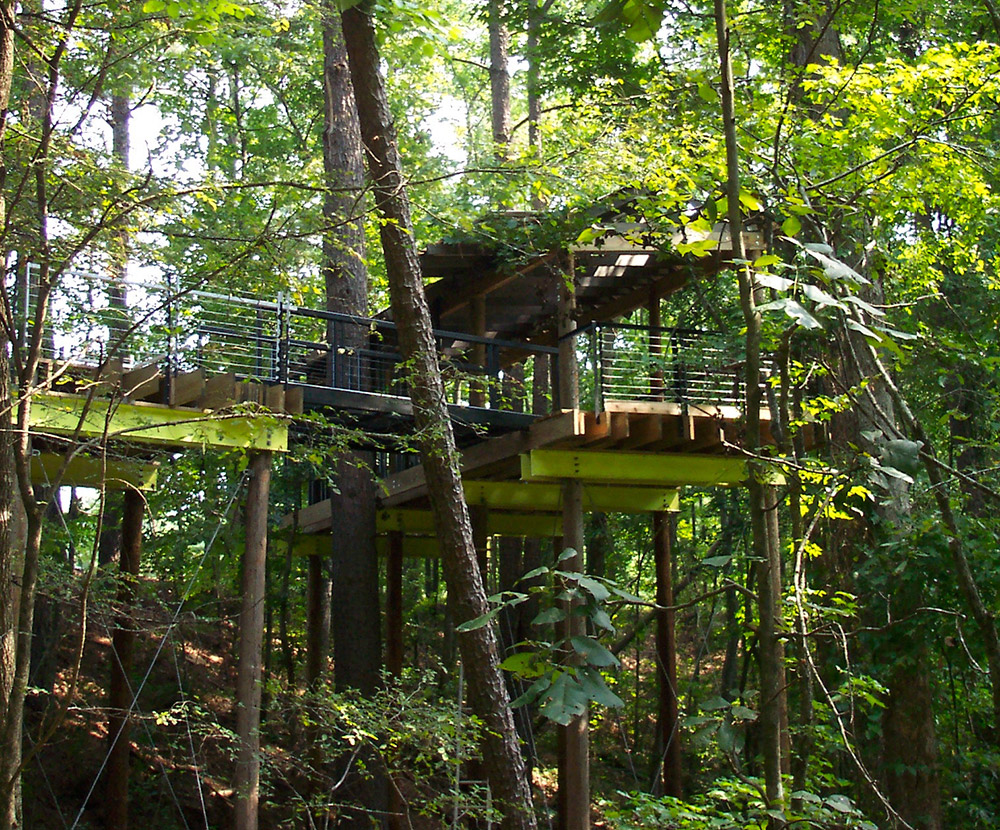Raised platform with railings elevated above ground and among trees