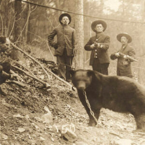 Three men in coats and hats on a wooded hillside pointing guns at a chained bear