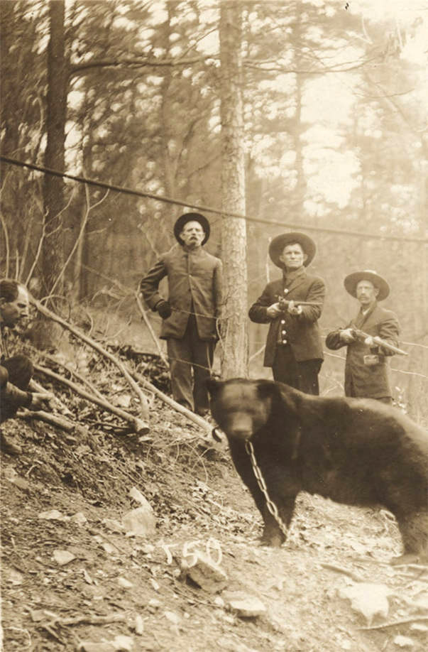 Three men in coats and hats on a wooded hillside pointing guns at a chained bear