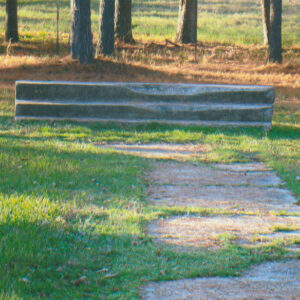 Stone walkway leading to short set of concrete steps in field with trees