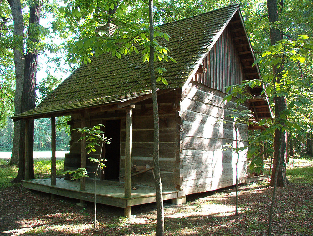 Single story log cabin surrounded by trees and saplings