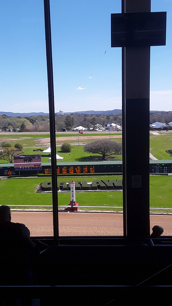 View of horse track from raised covered seating area