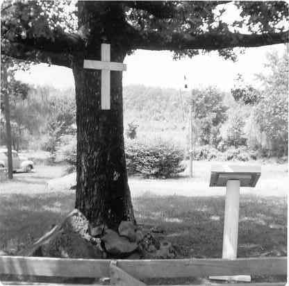 Lectern in front of tree; cross nailed to tree