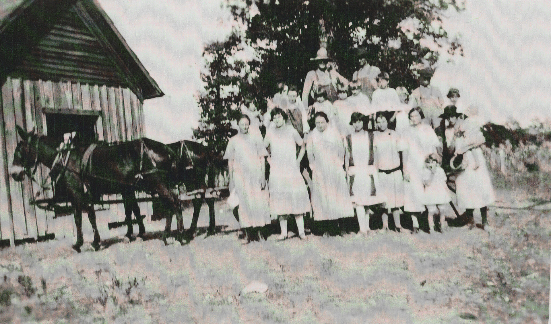 Group of white children and adults standing next to single story building and mules and wagon
