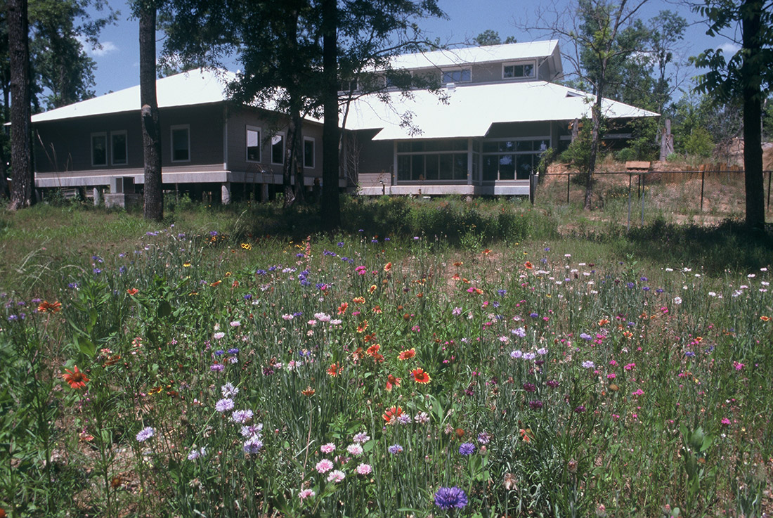 Multistory gray wooden building with foreground featuring lots of wildflowers