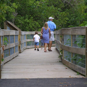White family walking on raised wooden platform among trees