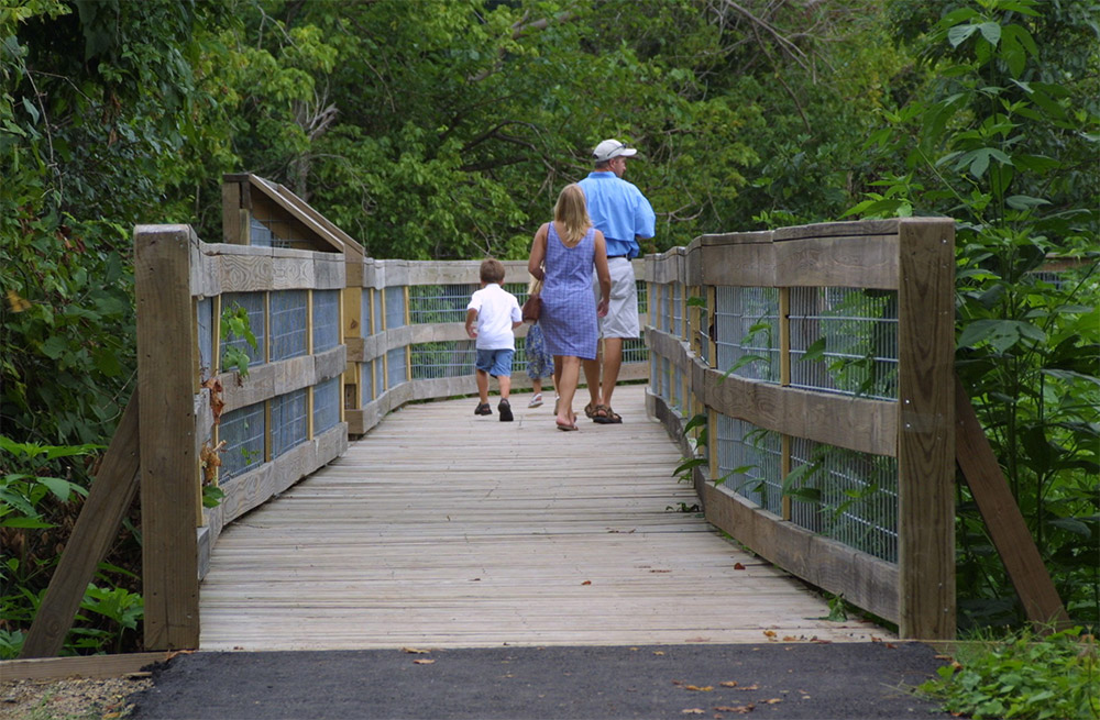 White family walking on raised wooden platform among trees