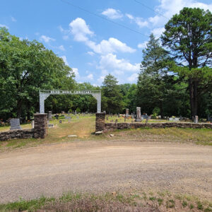 Cemetery gate with graves and trees in background "Need More Cemetery"