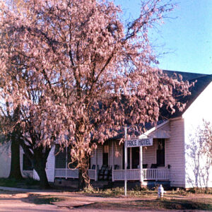 white wooden building with front porch and sign saying "Price Hotel" with blossoming tree in front