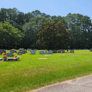gravestones on green grass with trees in the background and road in foreground