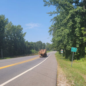 Logging truck passing "Perla" sign on road running between trees