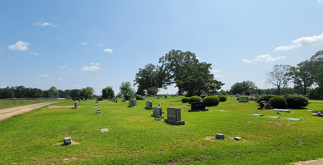 Grassy area with tombstones