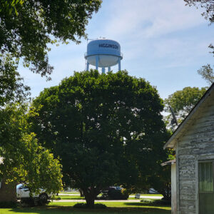 Water tower with "Higginson" printed on it behind trees and houses
