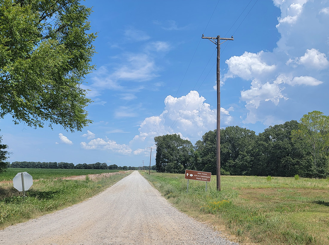 Rural gravel road with trees and flat land